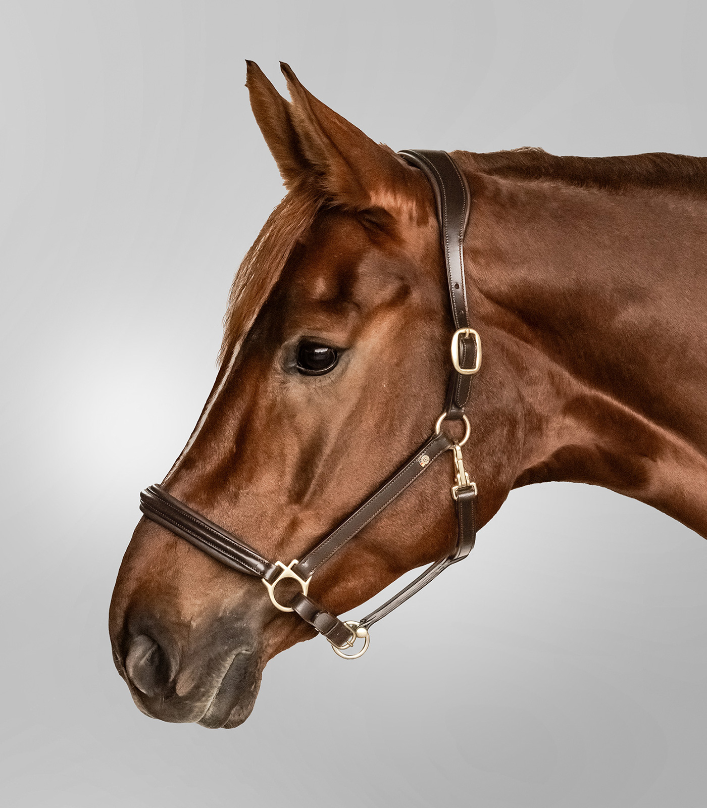 Waldhausen Classy S-Line Leather Halter brown/brass - 3