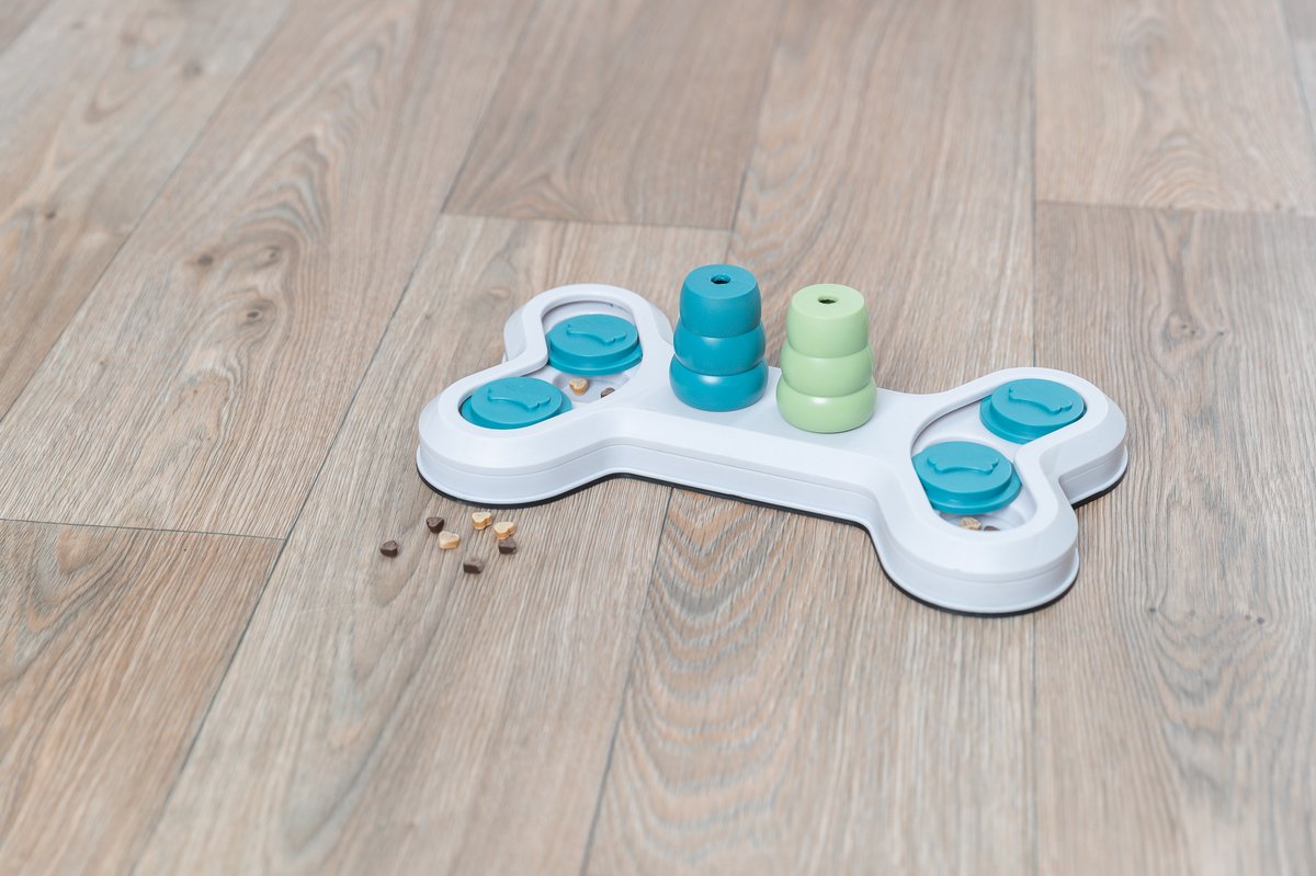 Jolly Paw Strategy game Jolly Bone - Multi/patterned - 5