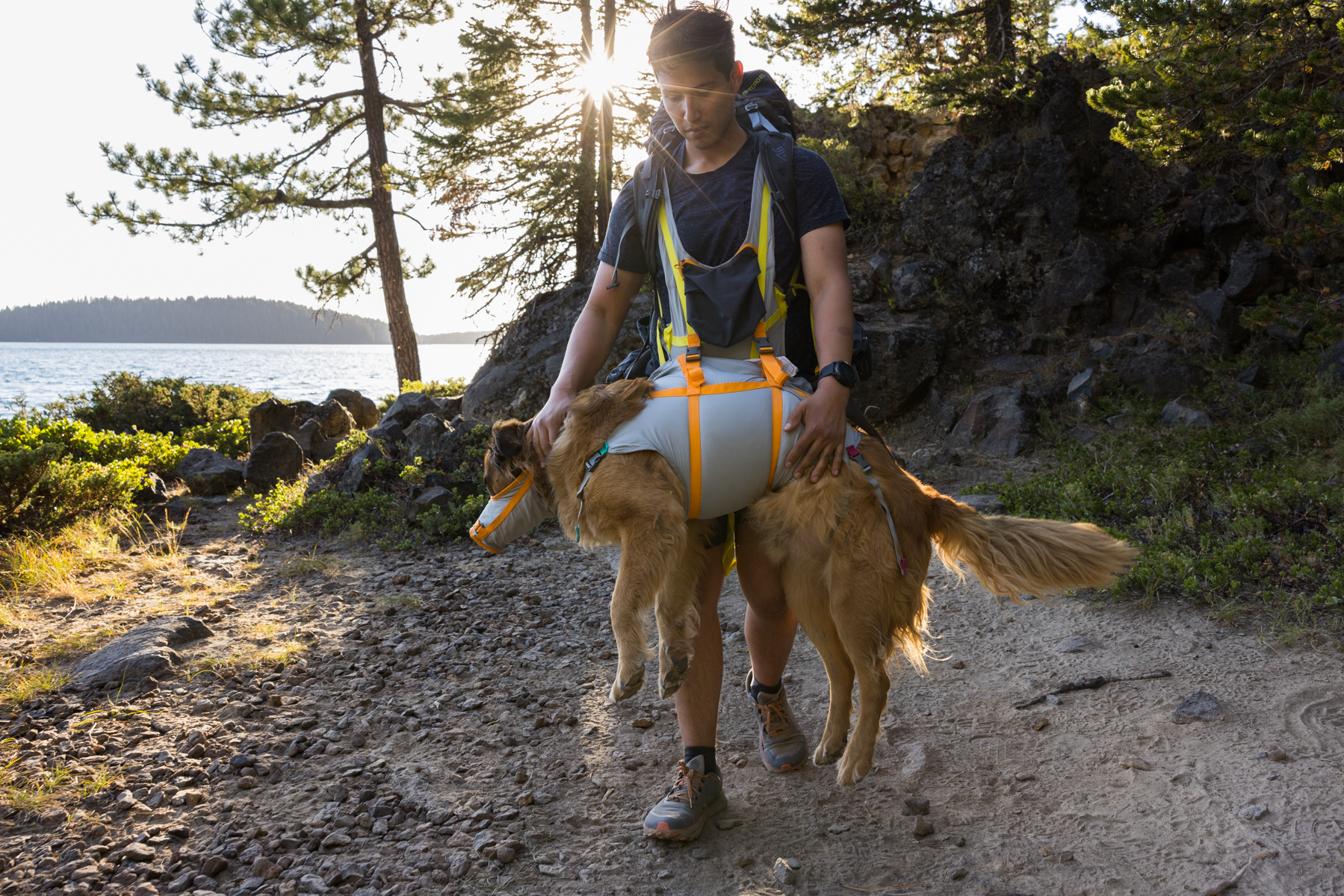Ruffwear BackTrak Dog Evacuation Kit - Cloudburst Gray 