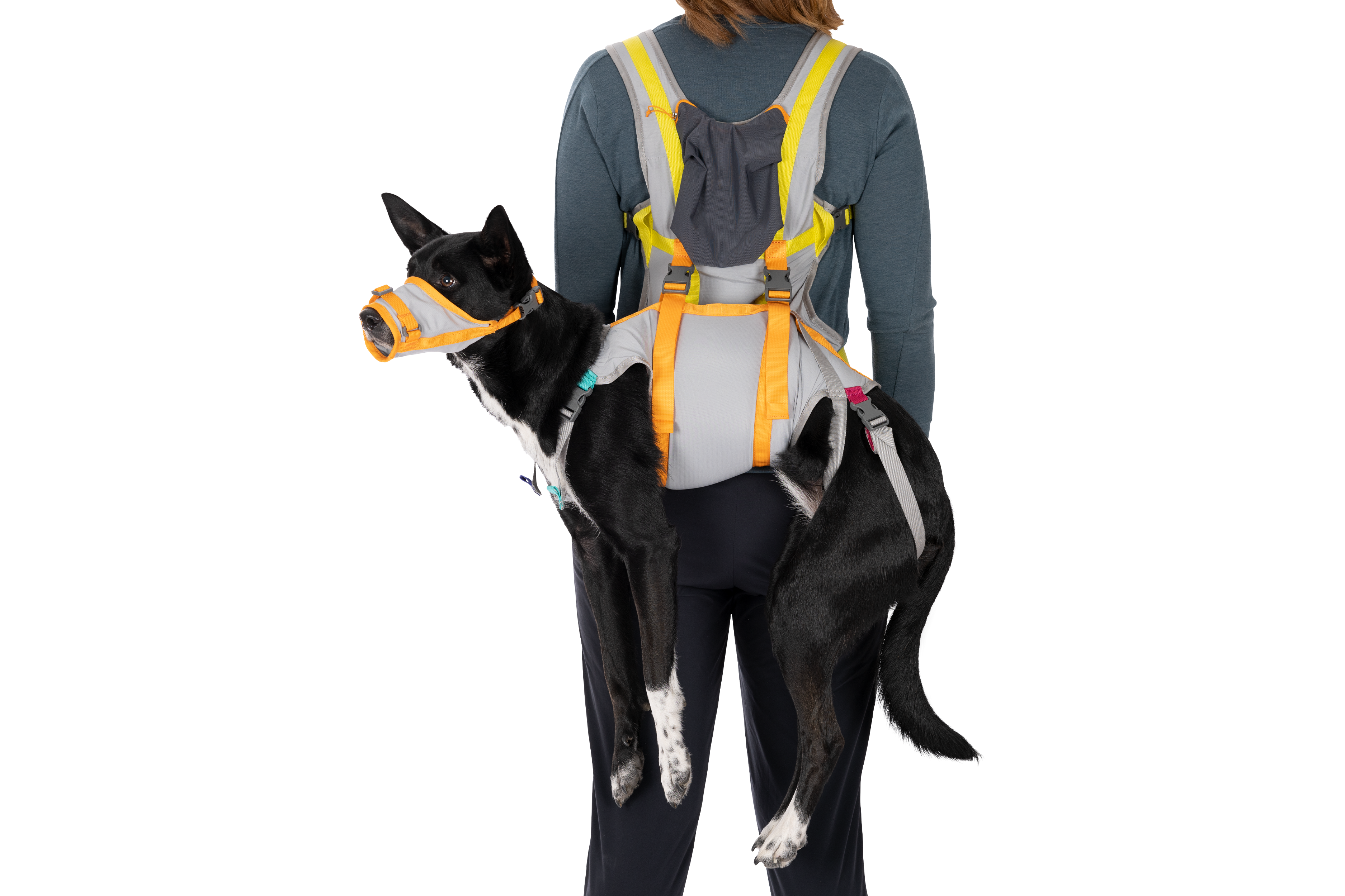 Ruffwear BackTrak Dog Evacuation Kit - Cloudburst Gray 