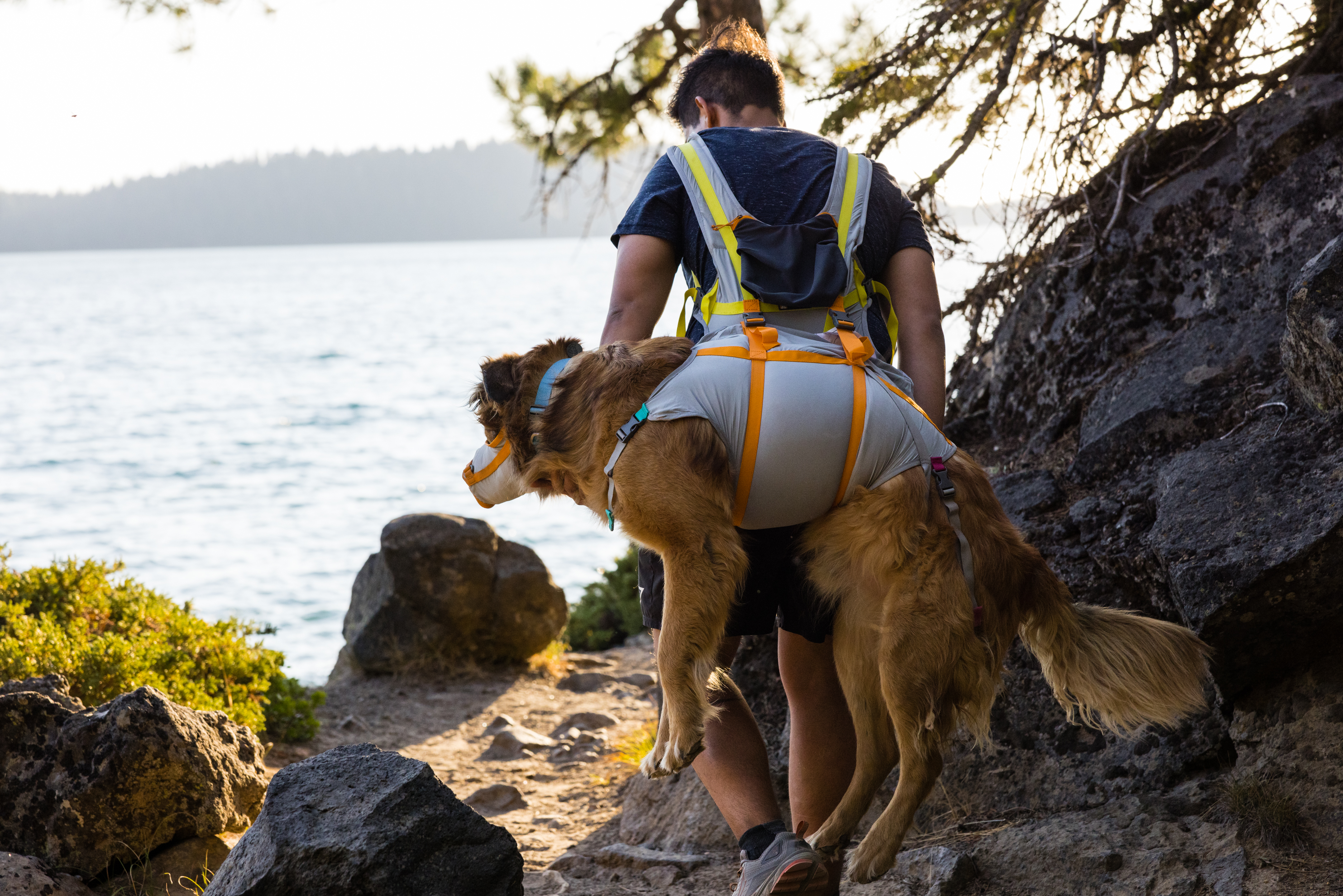 Ruffwear BackTrak Dog Evacuation Kit - Cloudburst Gray 