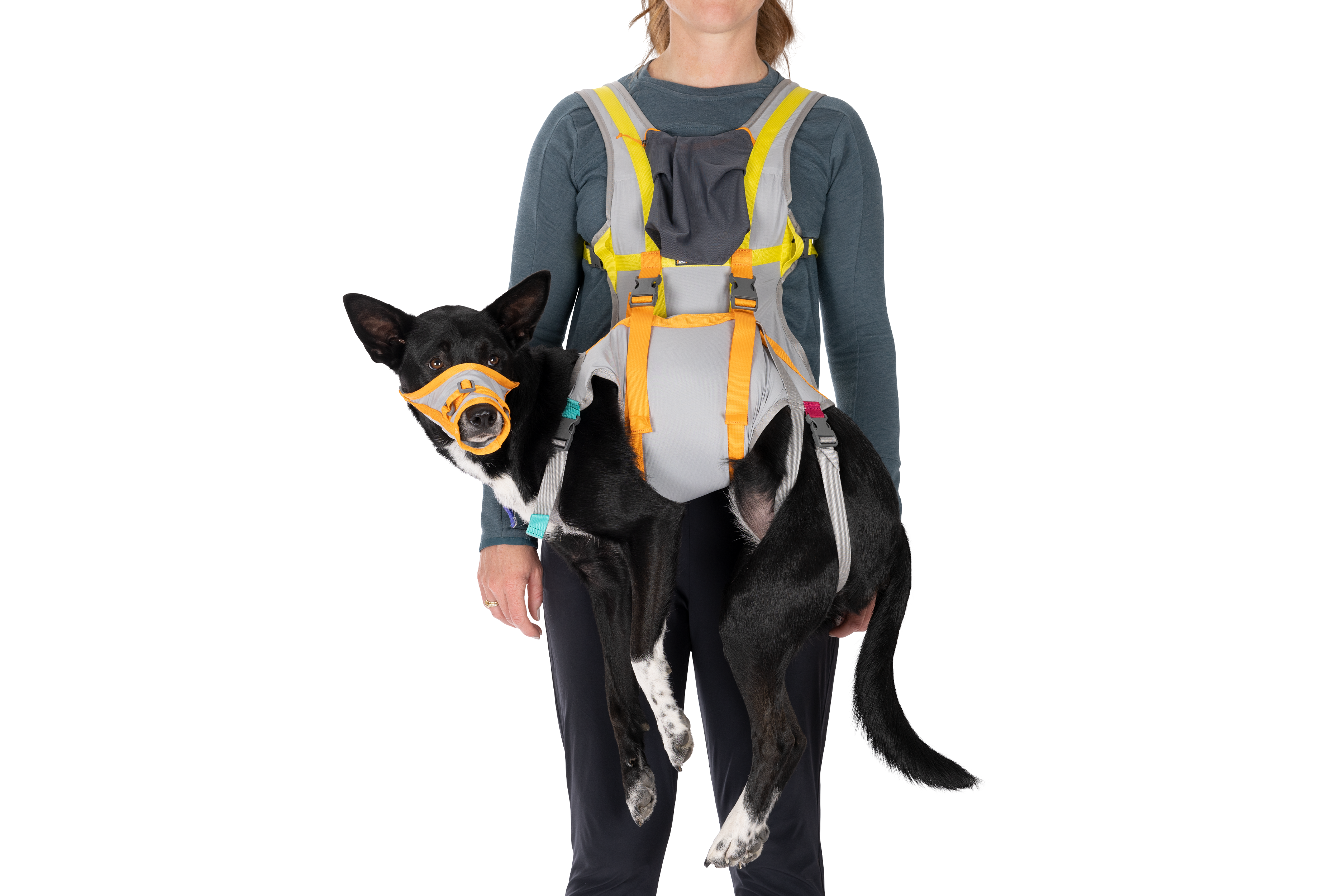 Ruffwear BackTrak Dog Evacuation Kit - Cloudburst Gray 