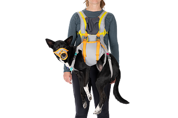 Ruffwear BackTrak Dog Evacuation Kit - Cloudburst Gray 