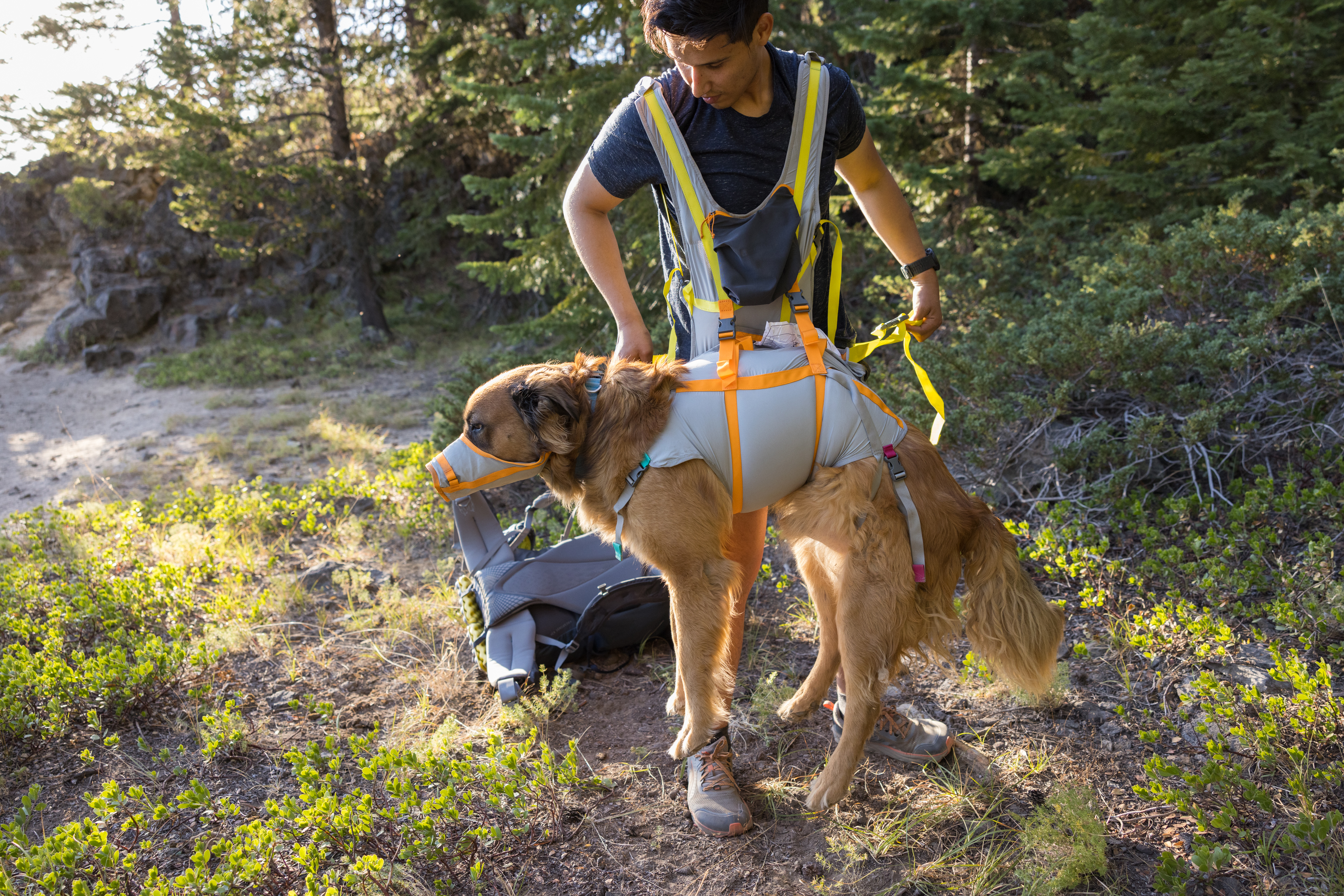 Ruffwear BackTrak Dog Evacuation Kit - Cloudburst Gray 