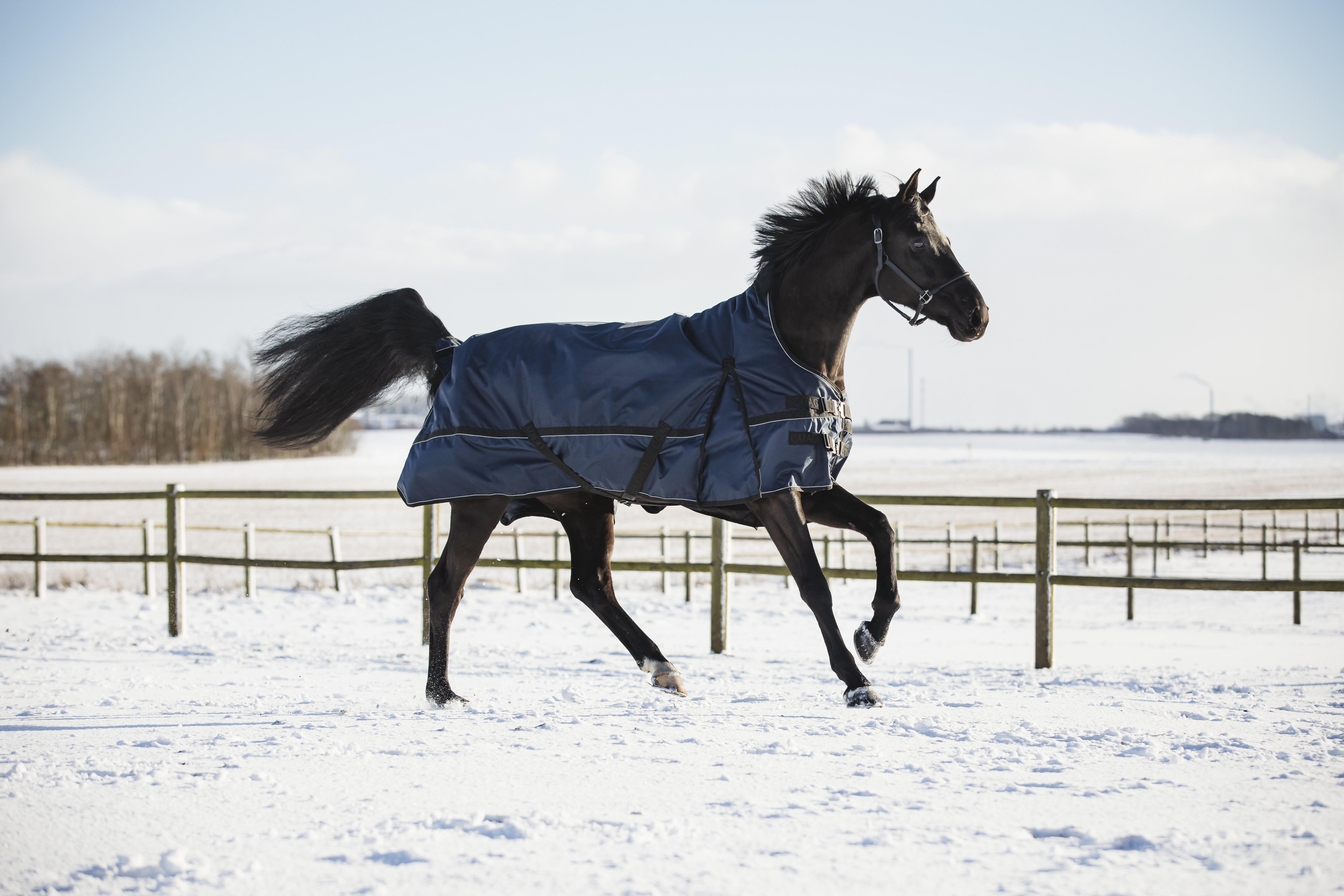 CATAGO Barlow 840D Turnout Hästtäcke 300g - Navy (115)