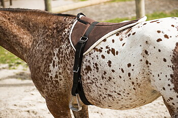 Norton Soft Bareback Riding Pad - Brown/Beige