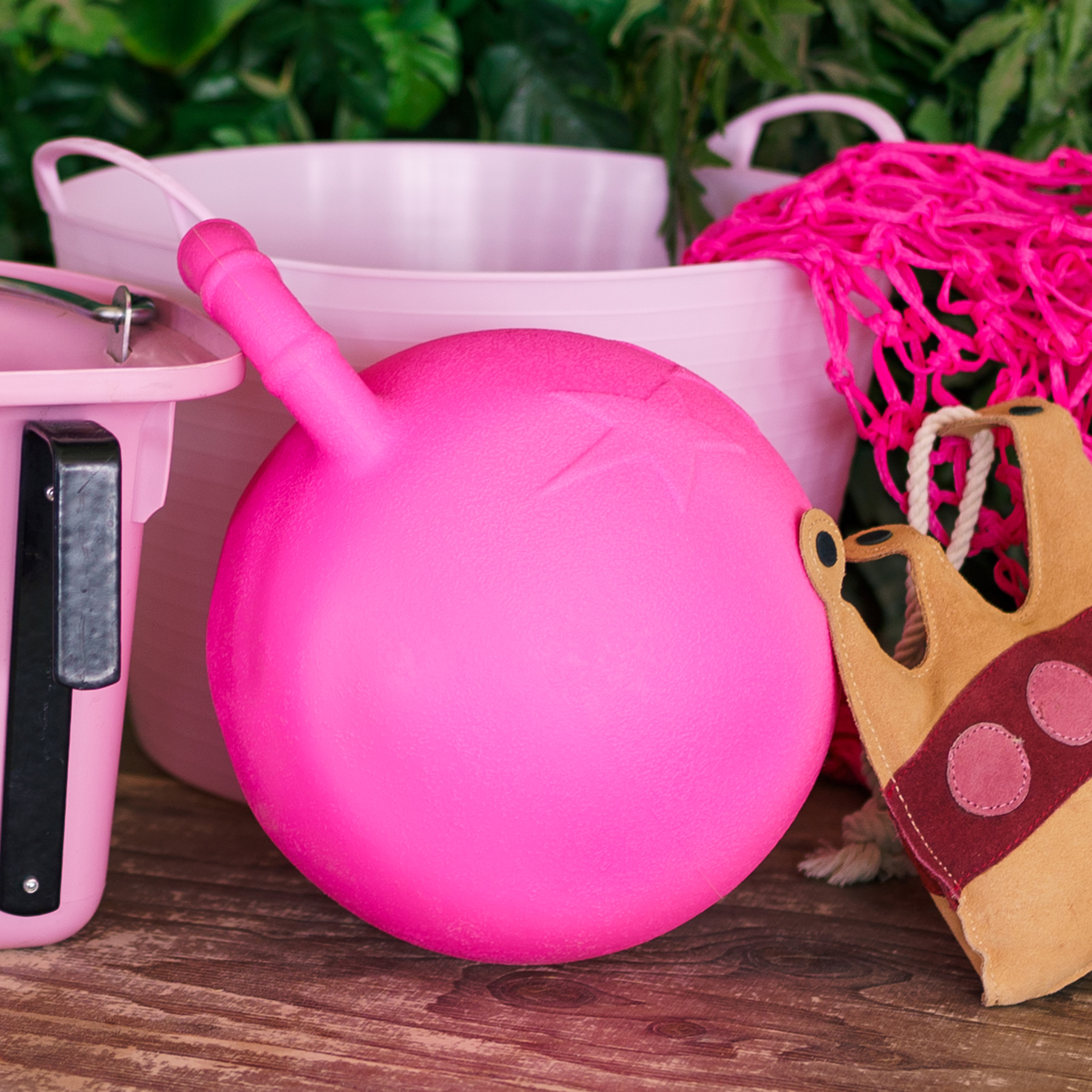 Imperial Riding Aktivitetsboll 25cm Hot Pink - 2