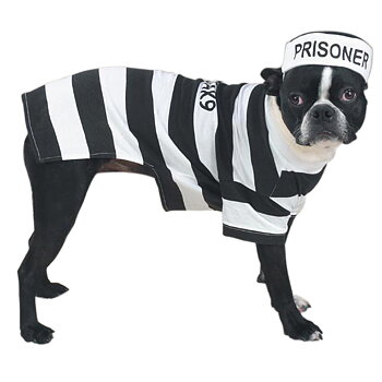 Casual Canine Prison Pooch ‑vankiasu koiralle – XS