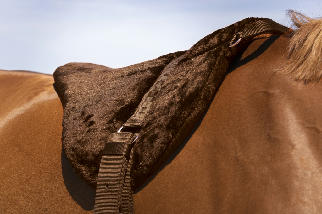 Norton Confort Bareback Riding Pad - Brown  - 2