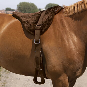 Norton Confort Bareback Riding Pad - Brown