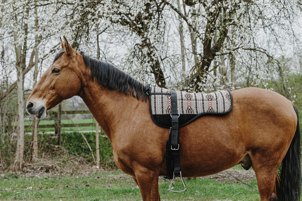 Norton Kiowa Bareback Riding Pad  - 9