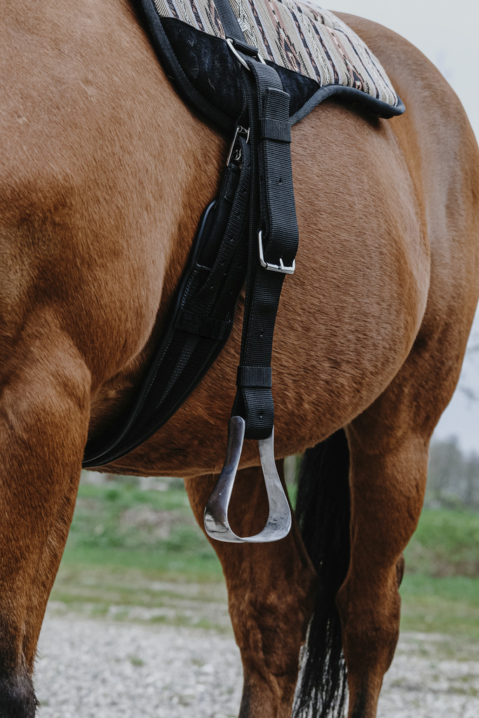 Norton Kiowa Bareback Riding Pad  - 8