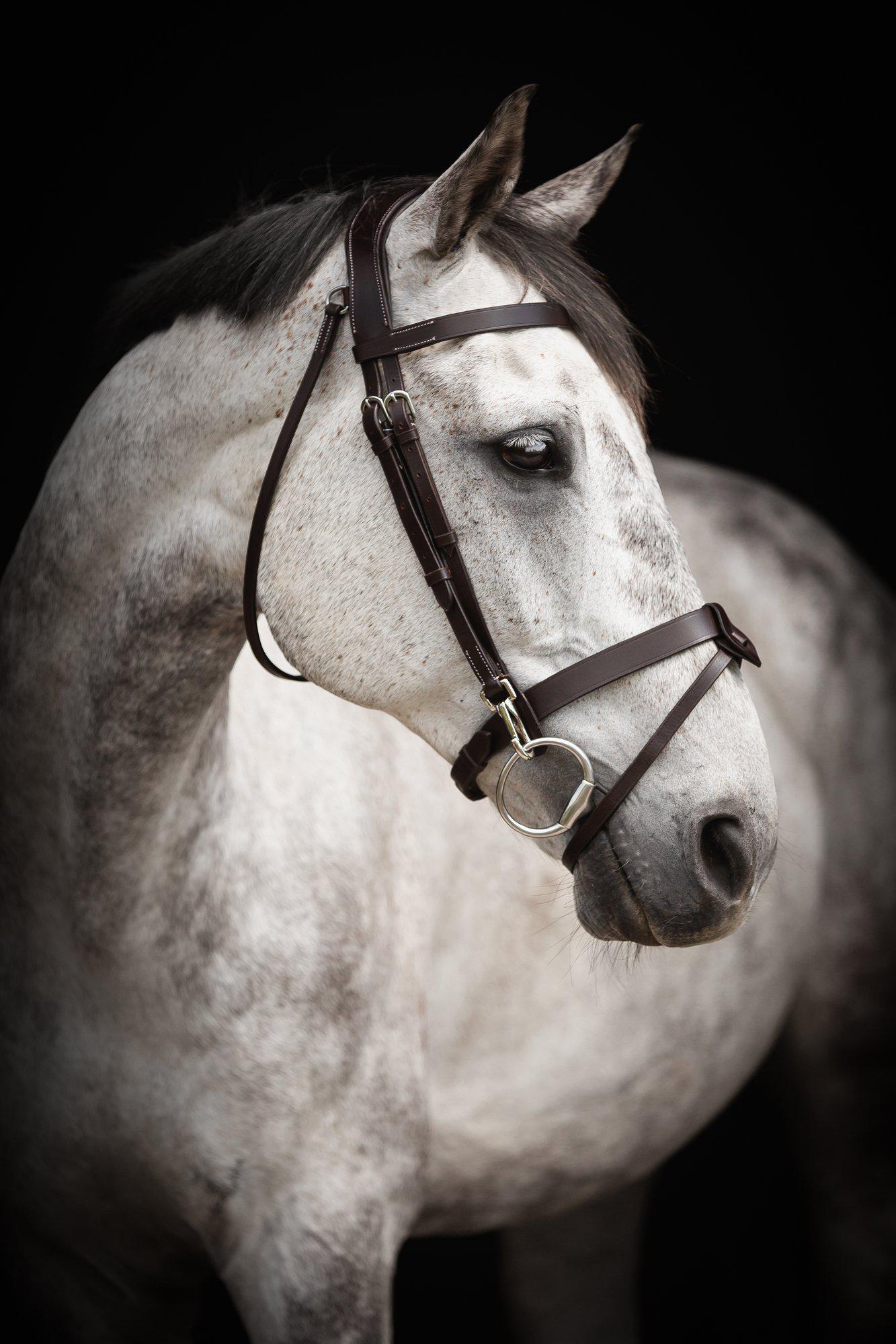 Träns Lippo Basic Trainer - Svart (Cob)