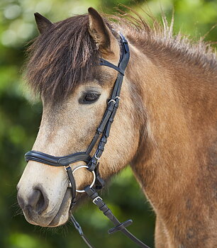 Waldhausen - Anatomical Icelandic Bridle - Black