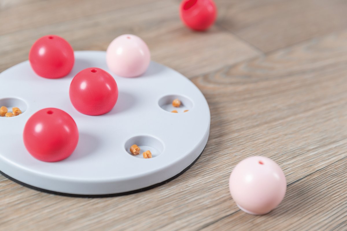 Jolly Paw Strategy game Jolly Cups - Multi/patterned - 5
