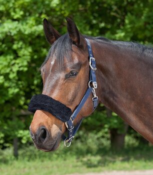 Waldhausen Noseband Cover - Black