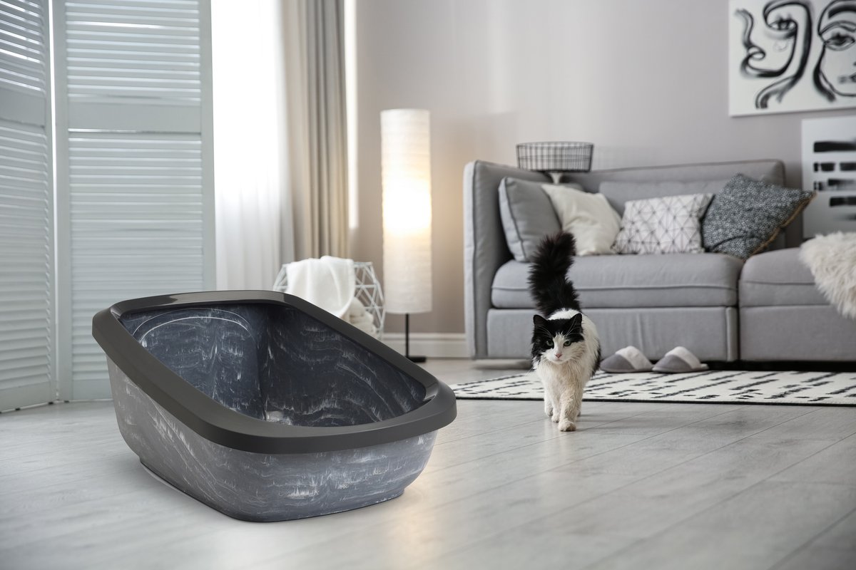 Savic Aseo Jumbo Katzentoilette - Anthracite/anthracite white - 5