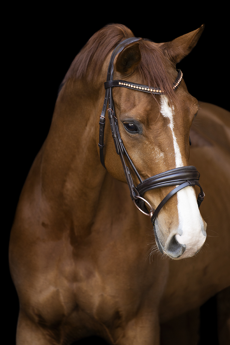 Imperial Riding Bridle Fria Brown - 5