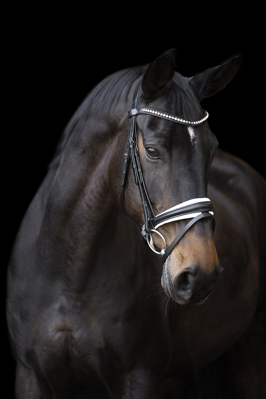Imperial Riding Snaffle bett Fria Black-White - 5