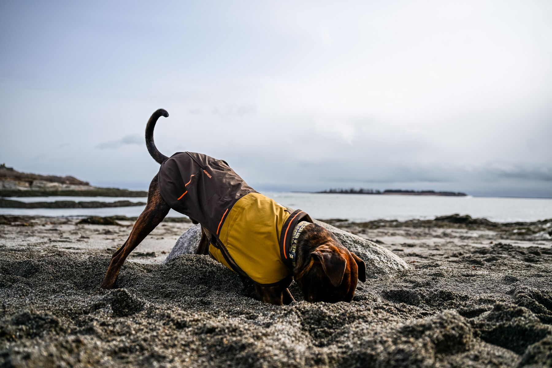 Ruffwear Sun Shower Regntäcke - Earth Brown - 14