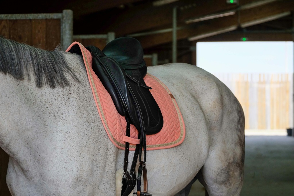 EQUITHEME 'Softy' Schabrak Salmon - 2