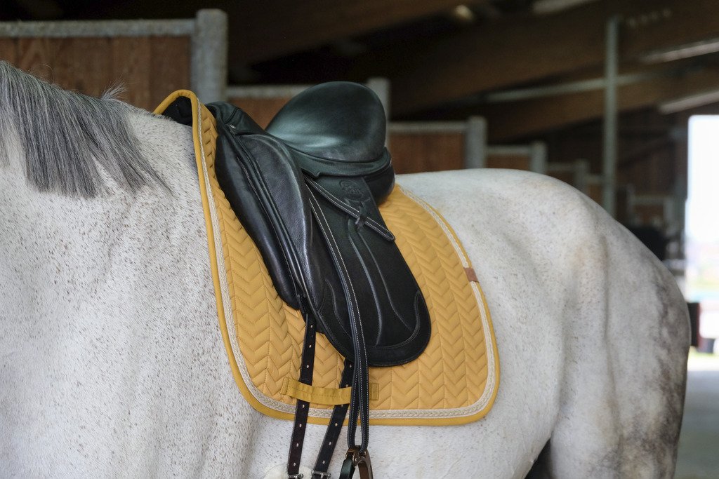 EQUITHEME 'Softy' Schabrak Mustard - 2