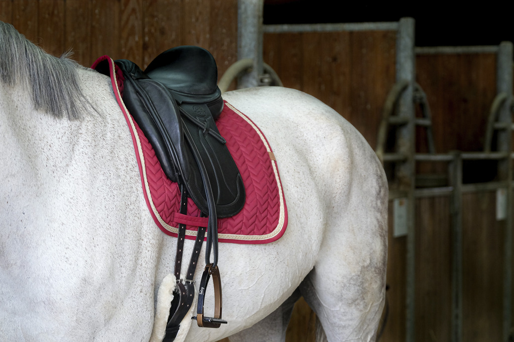 EQUITHEME 'Softy' Saddle Pad Burgundy - 2