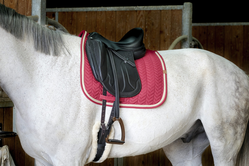 EQUITHEME 'Softy' Saddle Pad Burgundy - 3