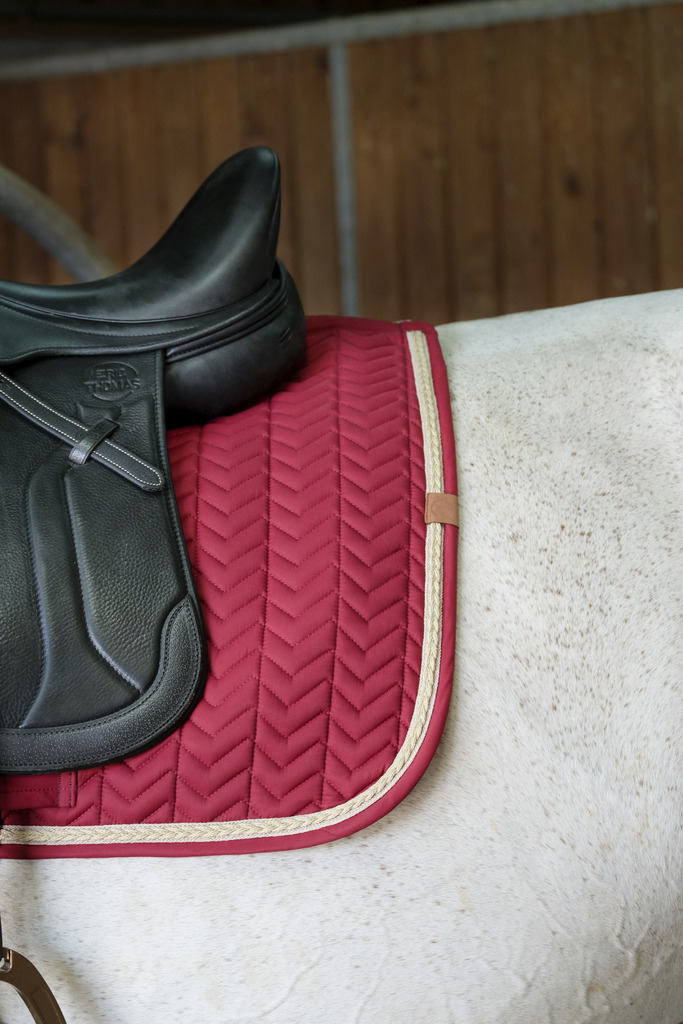 EQUITHEME 'Softy' Saddle Pad Burgundy - 4