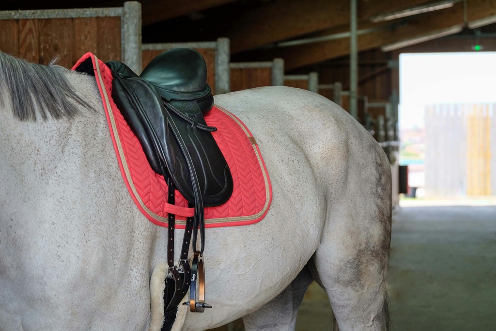 EQUITHEME 'Softy' Saddle Pad Raspberry - 2