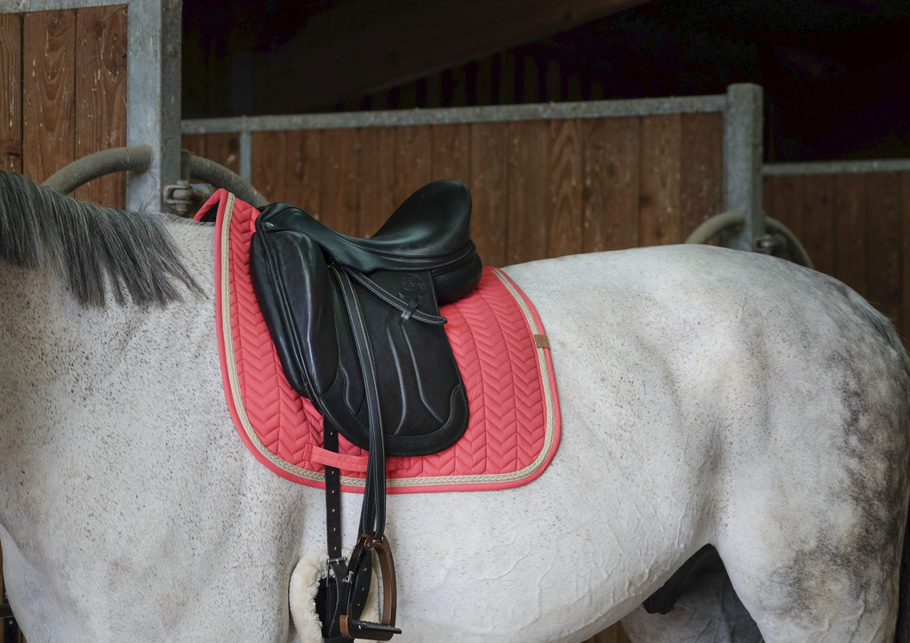 EQUITHEME 'Softy' Saddle Pad Raspberry - 3