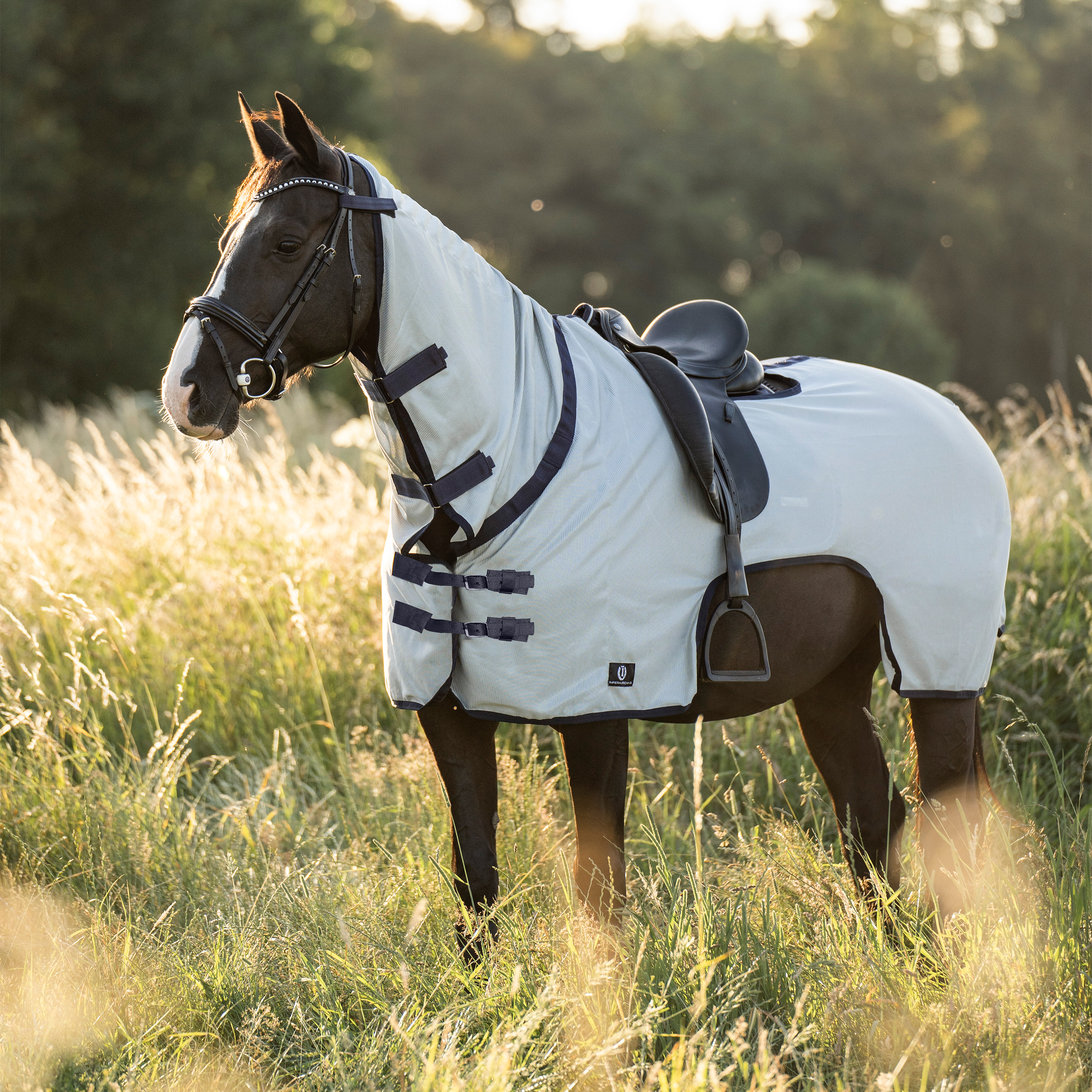 Imperial Riding Fly-Exercise blanket Royce Silvergrey - 11