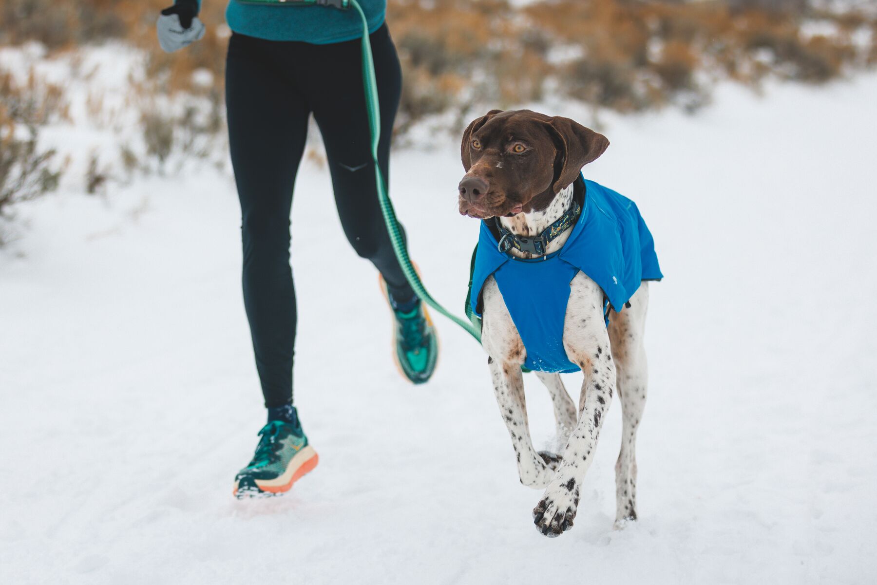Ruffwear Vert Jacket Vinterdekken- Blue Pool - 13