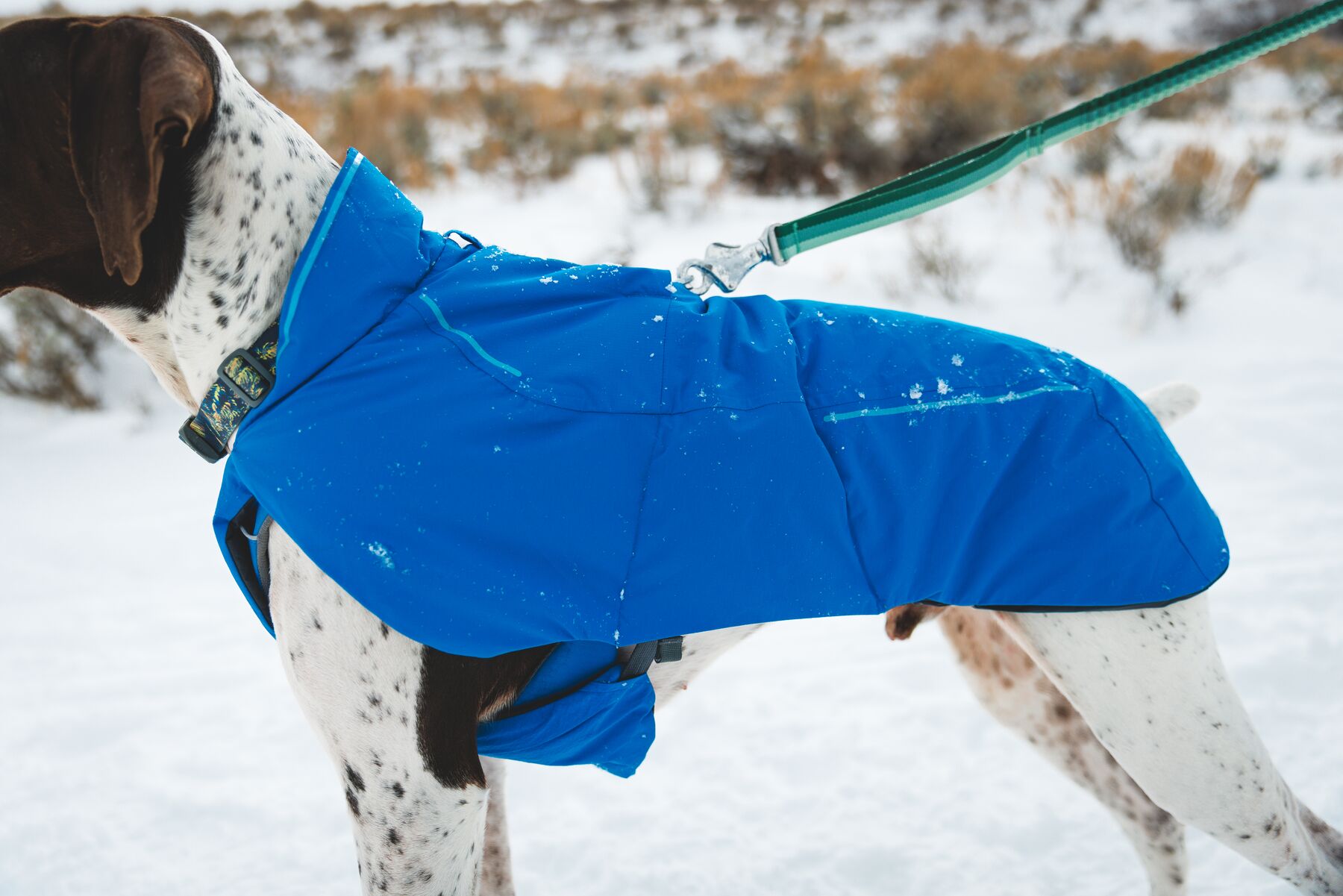 Ruffwear Vert Jacket Vinterdekken- Blue Pool - 7