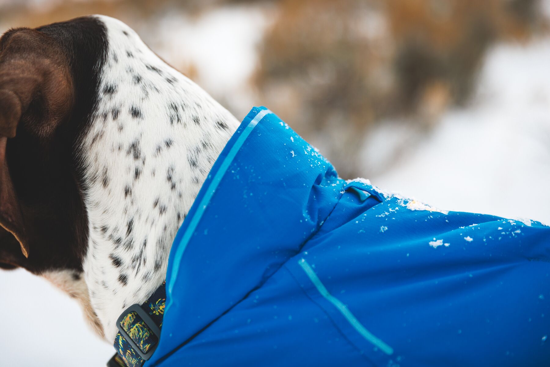 Ruffwear Vert Jacket Vinterdekken- Blue Pool - 9