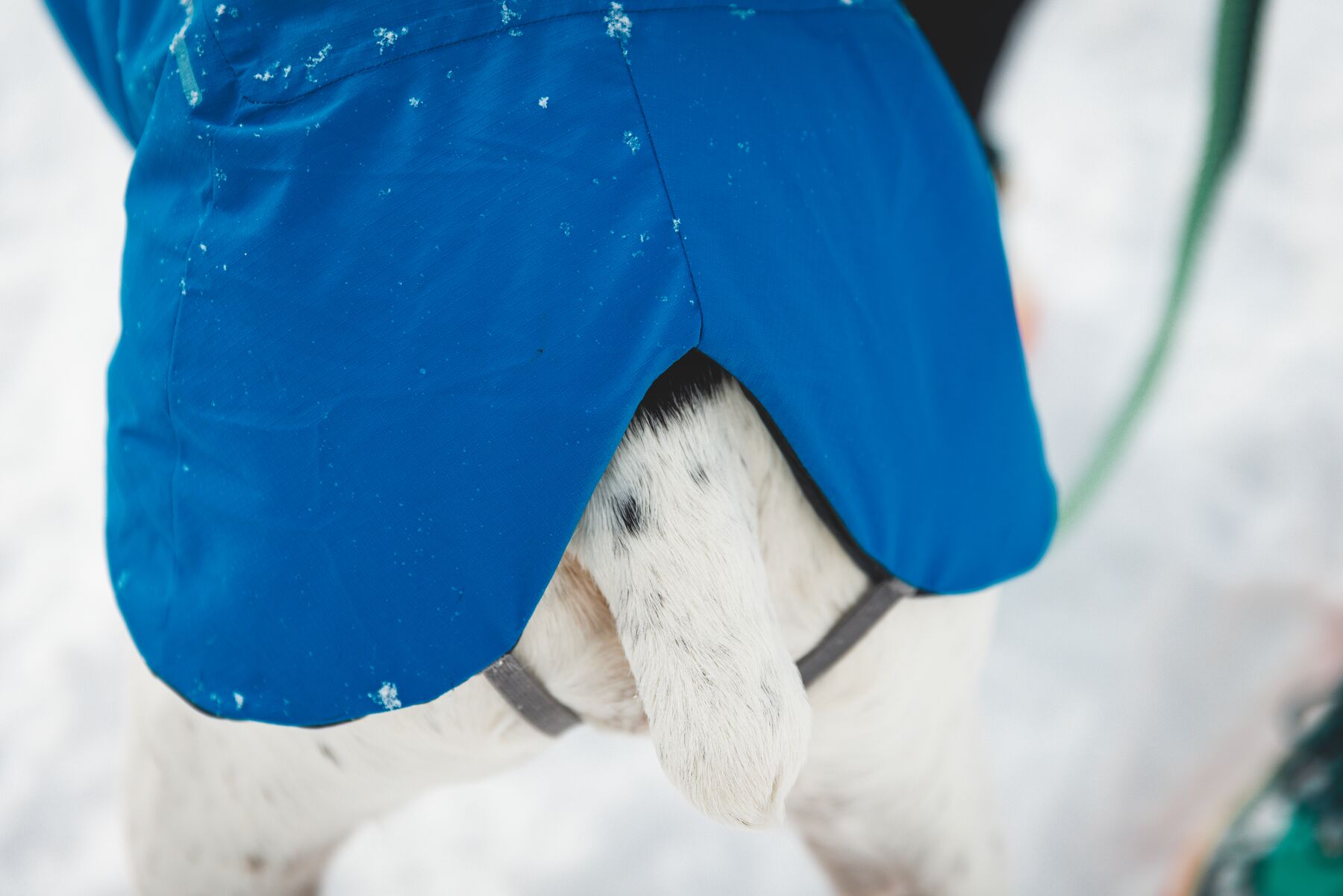 Ruffwear Vert Jacket Vinterdekken- Blue Pool - 10