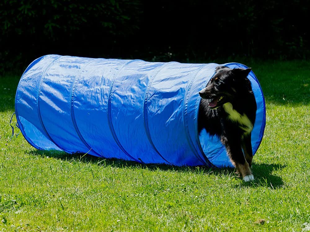 Bruks Agility KIT - 7 Teile (K2) - 6