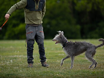Non-Stop Dogwear Pallo Köydellä Koiranlelu, 60 mm