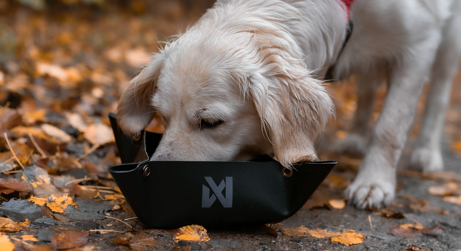Non-Stop Dogwear Matkakulho - Musta, M - 4