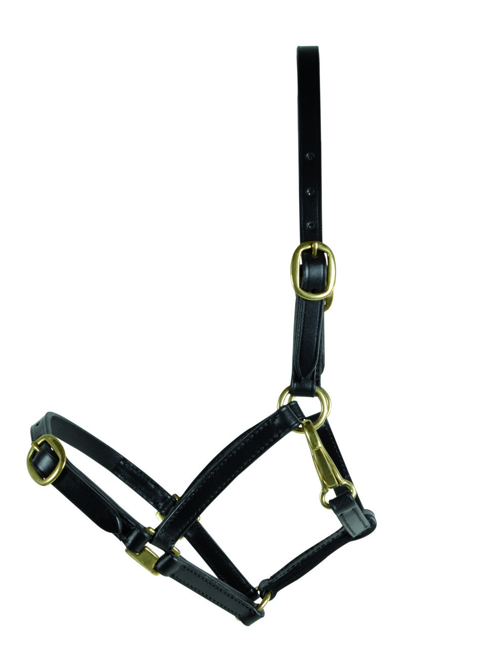 Brun lädergrimma till föl - från Horse Guard