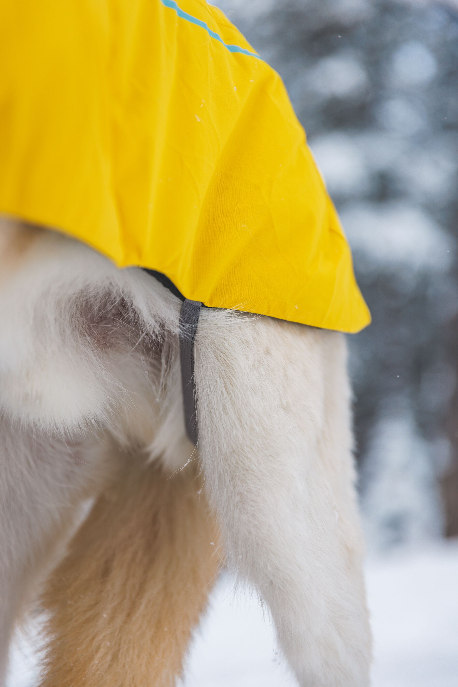 Ruffwear Vert Jacket Vintertäcke - Mineral Yellow - 9