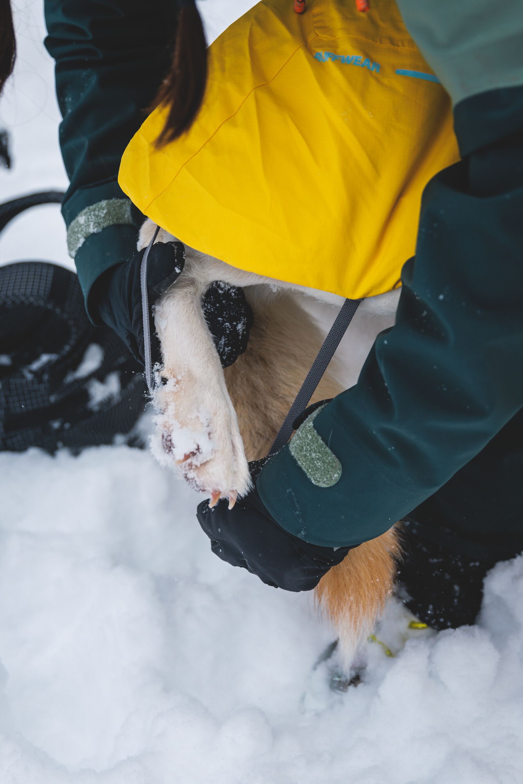 Ruffwear Vert Jacket Vintertäcke - Mineral Yellow - 10