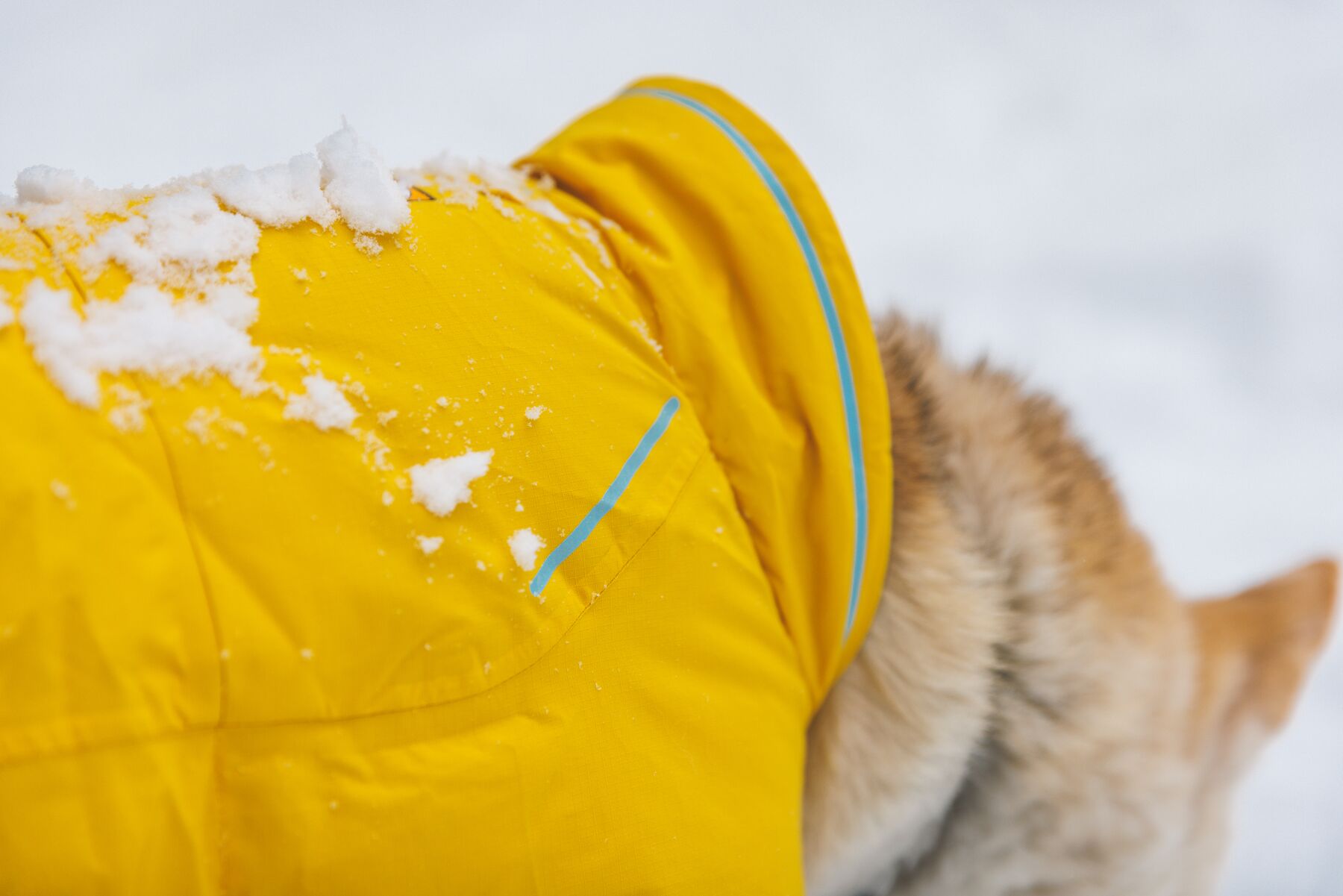 Ruffwear Vert Jacket Vintertäcke - Mineral Yellow - 6