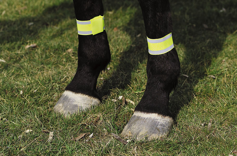 NORTON Benreflexer Gul 2 pcs