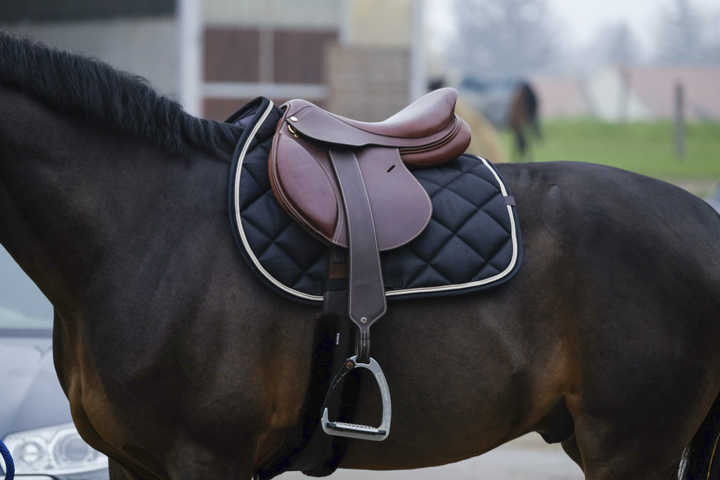 EQUITHEME 'Classic' Saddle Pad Black - Full size - 2