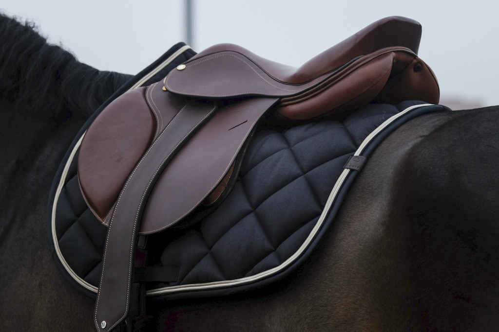 EQUITHEME 'Classic' Saddle Pad Black - Full size - 4