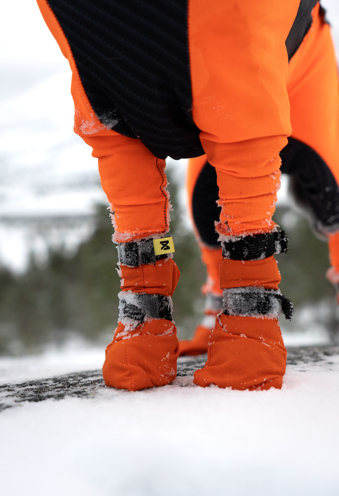 Non-Stop Dogwear Contact Bootie High - Orange, 2-3cm - 2