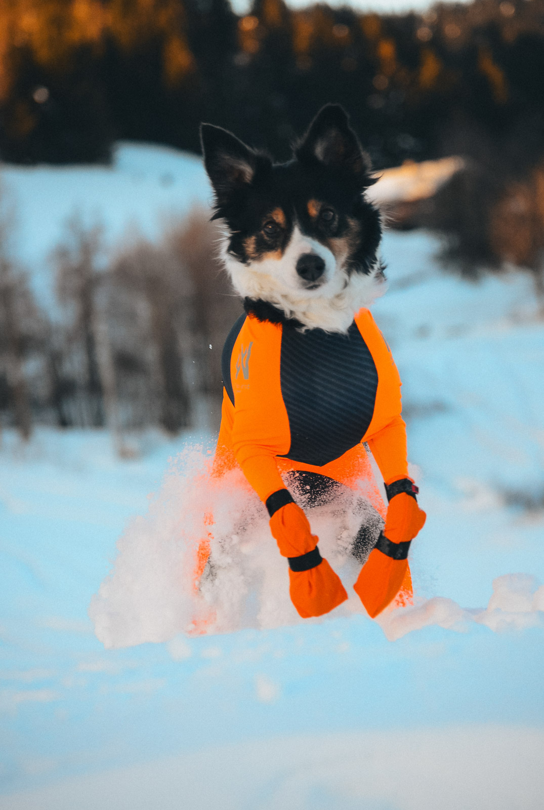 Non-Stop Dogwear Contact Bootie High - Orange, 2-3cm - 7