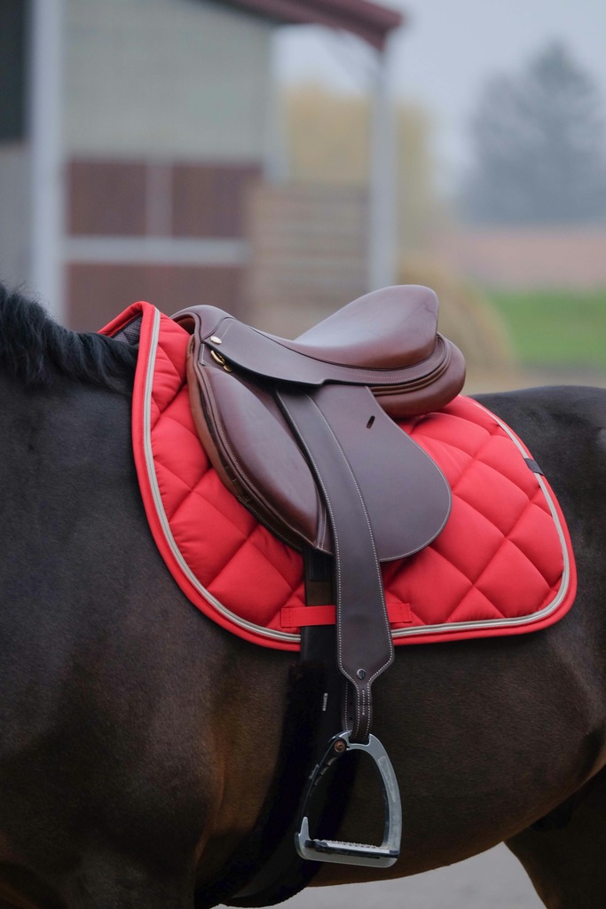 EQUITHEME 'Classic' Schabrak Röd - Full size - 3