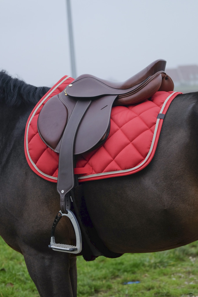 EQUITHEME 'Classic' Schabrak Röd - Full size - 4